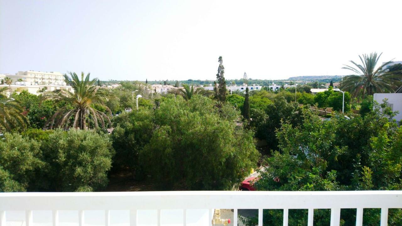 Sofia's Seaview